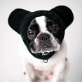 thumbnail image 4 of Frenchiestore Organic Dog Frenchie Ear Warmers | Black Frenchie, 4 of 4