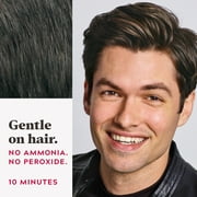 Just For Men Easy Comb-In Gray Hair Coloring, A-45 Dark Brown, Pack of 3