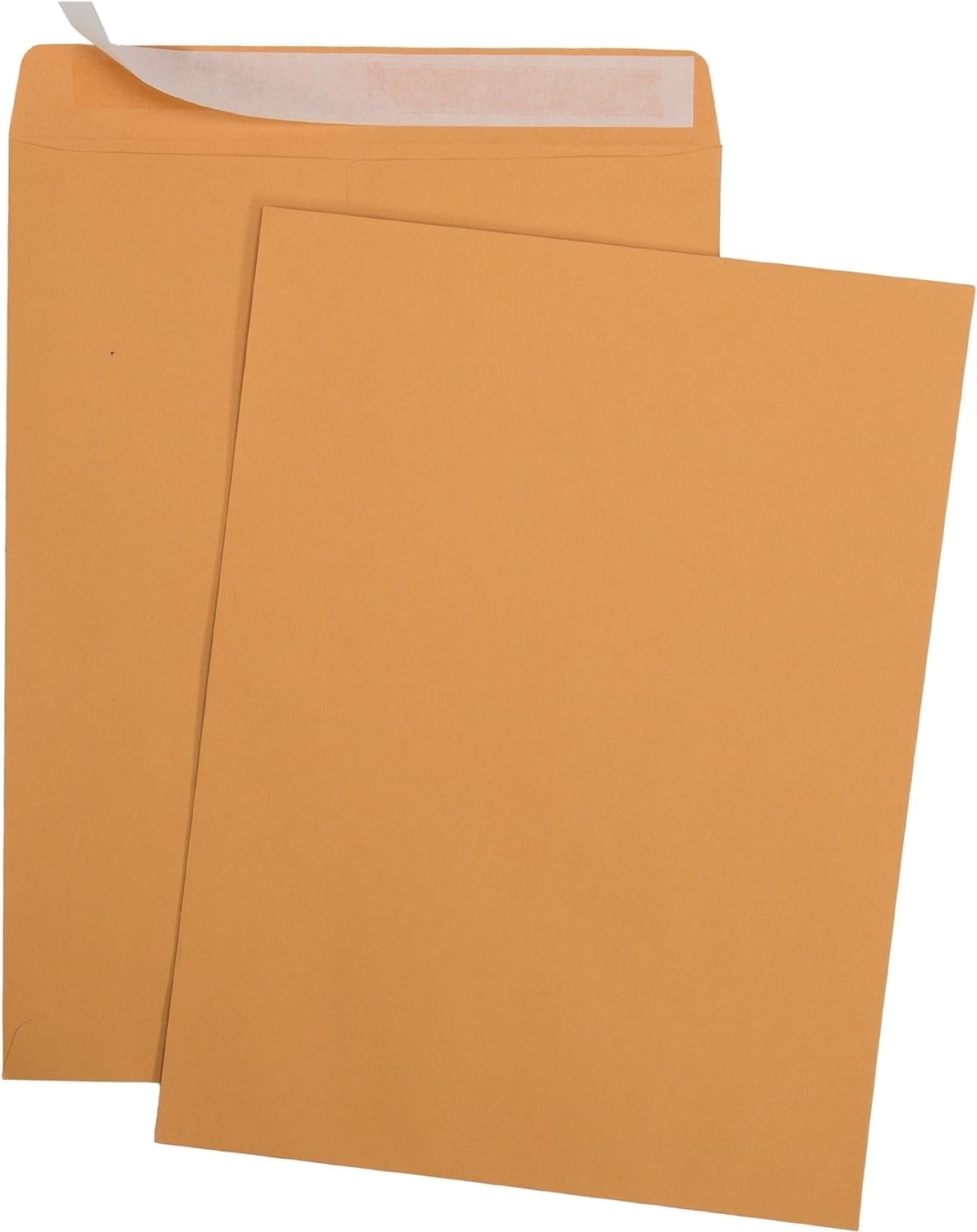 Aimoh Self-Seal Brown Kraft Catalog Mailing Envelopes, Catalog Business Envelopes, 9”x12” 250 Count