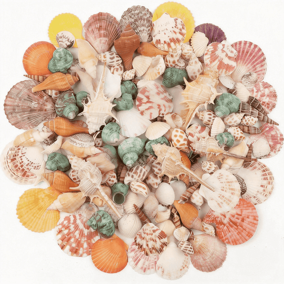 Hisekaai Mixed Sizes Multicolor Craft Shells 15 Count