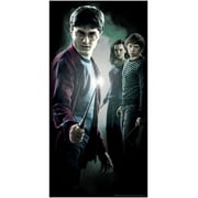 Harry Potter Harry Door Cover