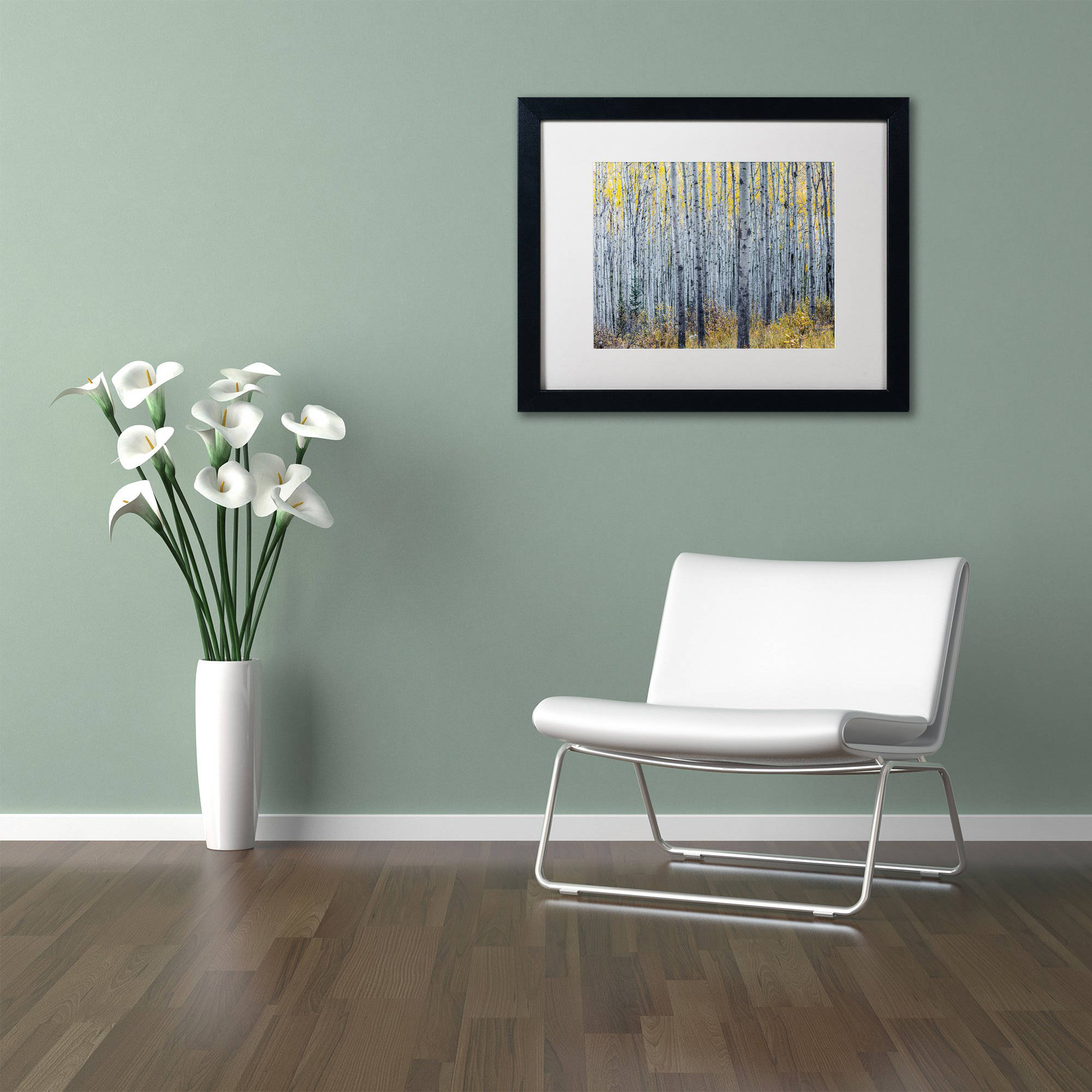 Trademark Fine Art 'Forest of Aspen Trees' Canvas Art by Pierre Leclerc, White Matte, Black Frame