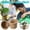 6Pcs Biodegradable Nursery Pots Under $5 a1, variant on RRJ Biodegradable Nursery Pots, Pulp Peat Pot Starter Cups, Eco-Friendly Plant Pots for Seedlings Herbs Vegetables, Gardening Tools for Indoor Outdoor Planting
