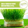 thumbnail image 3 of FOMIYES Para Cultivo De Vegetales En De Usar Y Transportar, 3 of 8