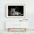 thumbnail image 6 of Leopard - Photography Wildlife Animal Black and White Nature Jungle Unframed Wall Art Print 24 x 36 inches, 6 of 7