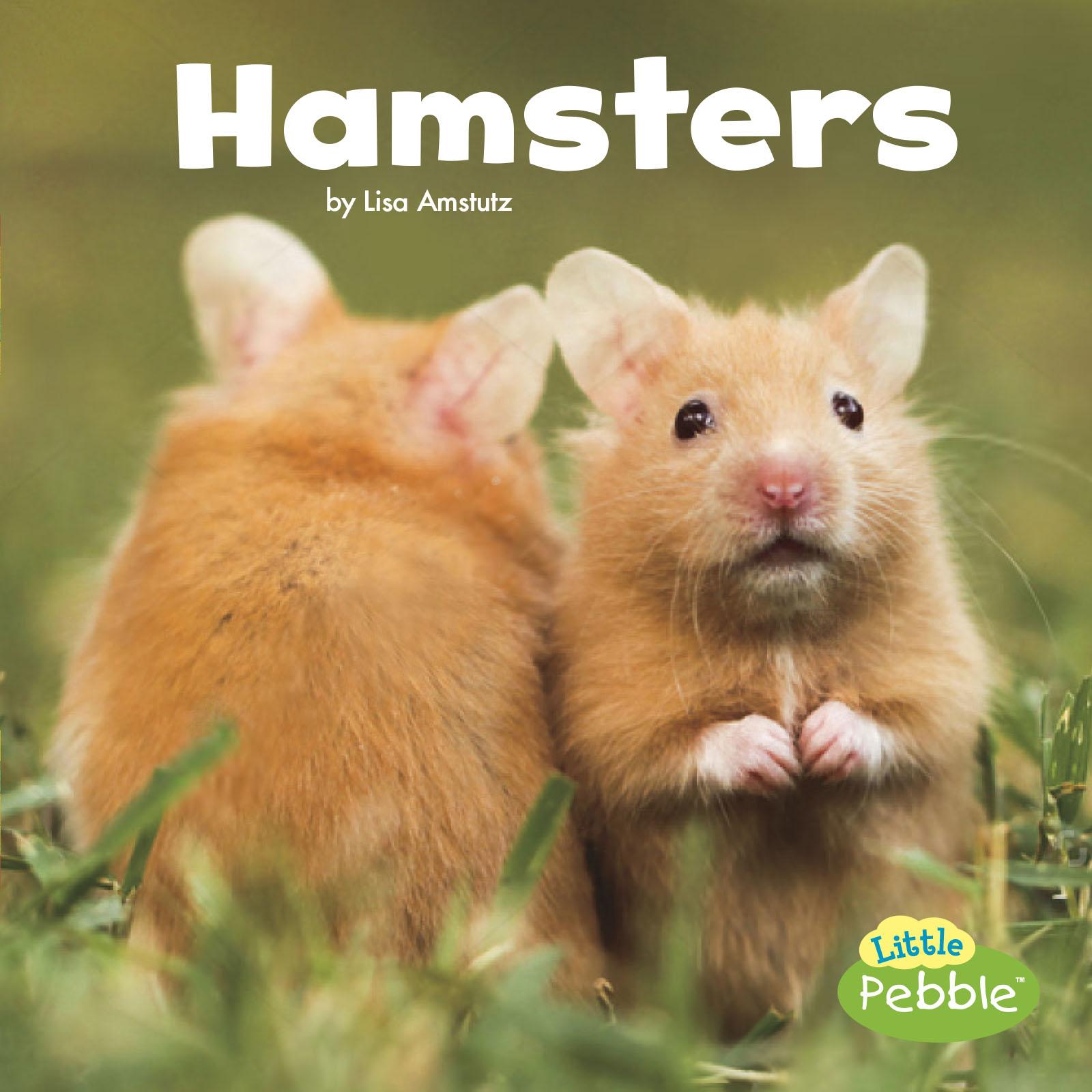 Our Pets Hamsters (Hardcover)