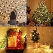 QiShi 33ft 100LED 16 Multi Color Changing Fairy Lights USB Powered with Remote Control, For Christmas Tree, Wedding Party, Indoor, Garden, Bedroom Holiday Décor