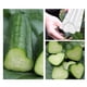 thumbnail image 3 of Moldes Para Pepinos En Forma De Corazón Para El Jardín Del Patio, 3 of 5