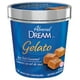 Dream Gelato - Caramel au sel de mer, Dessert glacé sans produits laitiers – image 1 sur 1