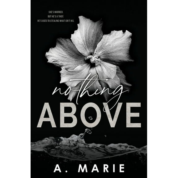 Nothing Above: A Dark Romance Standalone, (Paperback)