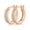 Gold, variant on Rose/Gold Moissanite Earrings for Women 0.24cttw D Color VVS1 Clarity S925 Sterling Silver Diamond Earrings Hoops Round Cut Bridal Earrings for Wedding Men Moissanite Hoop Earring
