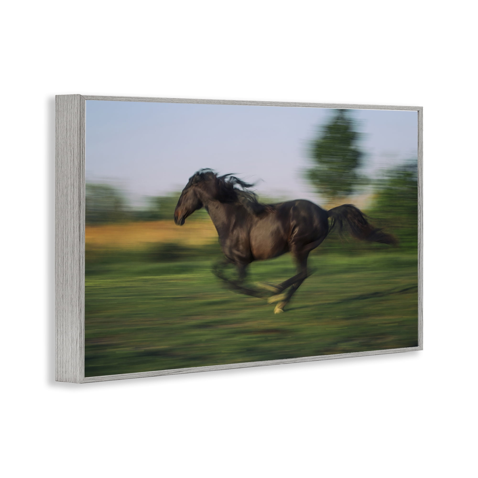 Stupell Industries Dashing Camargue Racehorse Gray Framed Giclee Art, design by Scott Stulberg