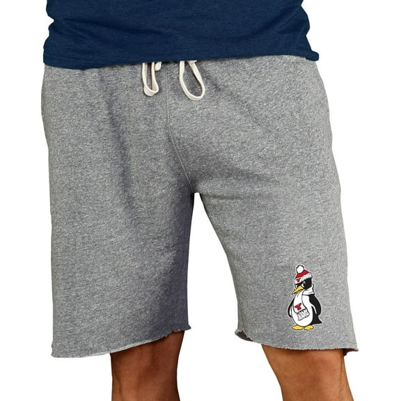 Men's Concepts Sport Gray Youngstown State Penguins Mainstream Terry Shorts