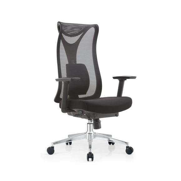 Silla Ergonómica Oficina EKE Gris - Soporte Lumbar, Reclinación, Apoyabrazos y Altura Ajustable
