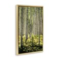 thumbnail image 3 of Stupell Industries Small And Tall Birch Forest Gold Framed Floater Canvas Wall Art design by D. Burt, 25 x 17, 3 of 9