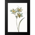 thumbnail image 2 of Nan 13x18 Black Modern Framed Museum Art Print Titled - Neutral Botanical I, 2 of 5