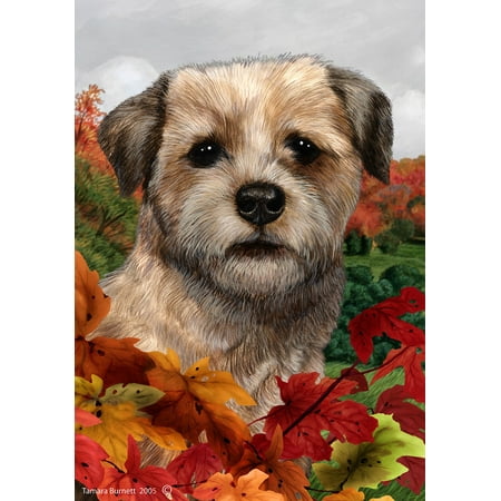 Border Terrier - Best of Breed Fall Leaves Garden