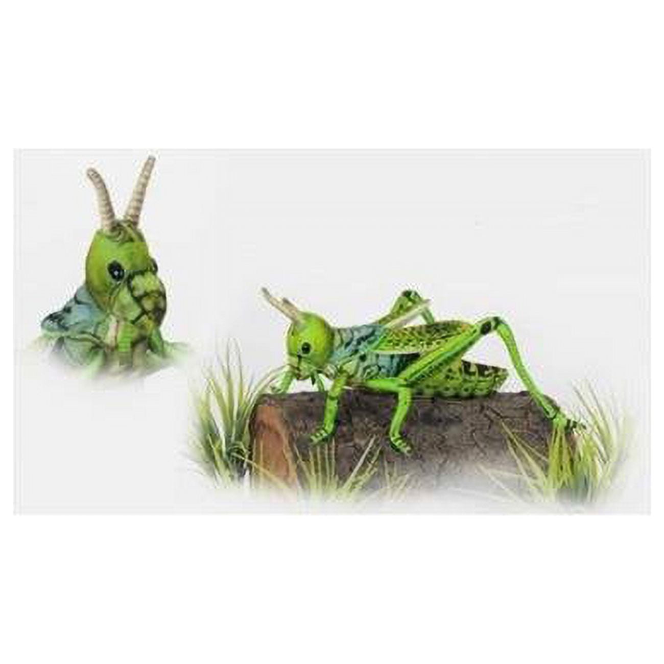Hansa 6879 Grasshopper Plush Toy Green 13.8 in. L Set of 3 Walmart