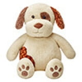 Dog Labrador