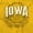 Gold, variant on Iowa IA Student Campus Pride Seal Men's Graphic T Shirt Tees Brisco Brands X