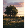 thumbnail image 1 of Qisvanset 12x16 Inch Blue Frog Tropical Flower Canvas Print Wall Art, 1 of 5