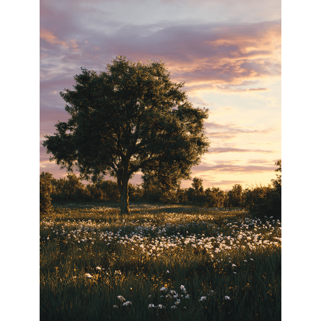 Qisvanset 12x16 Inch Blue Frog Tropical Flower Canvas Print Wall Art