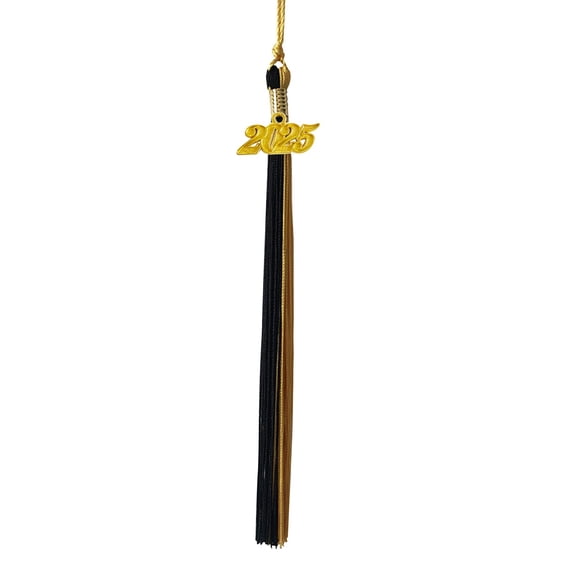 Graduation Cap Tassel with Year Charm for Class of 2024, High School and College Graduation Ceremony Accessories, Keepsake Souvenir D#271 E