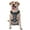 With Accessories, variant on Vsdgher Shark Wearing Swim Ring Pattern Dog Harness,No Pull Pet Harness with Soft Padded Handle,Adjustable Reflective Vest with 2 Buckles,4 Slide Buckles,S-XL Medium