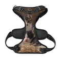 thumbnail image 5 of Gaeub Cat Family Gaeub Cat Family No Pull Dog Harness, Secure and Adjustable Pet Vest for Outdoor Activities - Small, 5 of 8