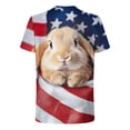 thumbnail image 5 of HONHUZH Mens Plus Size Summer Tops Retro 250Th Anniversary of The United States Print Shirt Patriotic Flag USA Tshirt, 5 of 5