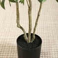 thumbnail image 4 of 6ft Fake Plastic Olive Tree in Pot, Pre Potted Faux Greenry Plant for Home Decor Office House Living Room Indoor Outdoor, Big Fake Plants Fake House Plants, 4 of 9