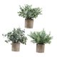 thumbnail image 4 of Plantas artificiales en maceta Strade Fareast Limited 3 piezas, 4 of 5