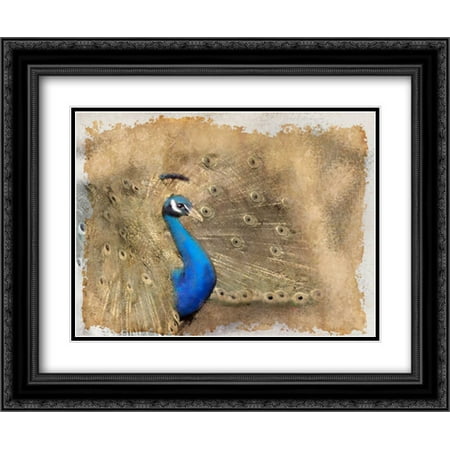 Allen Antique Lighting - Antique Peackock 2 2x Matted 24x20 Black Ornate Framed Art Print by Allen, Kimberly