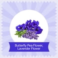 thumbnail image 5 of BLUE TEA - Butterfly Pea Flower Lavender Tea - 15 Tea Bags || Caffeine Free - Premium Tin Pack, 5 of 7