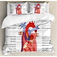 thumbnail image 1 of Educational King Size Duvet Cover Set, Medical Structure of the Hearts Human Body Anatomy Organ Veins Cardiology, Decorative 3 Piece Bedding Set with 2 Pillow Shams, Coral Red Blue, by Ambesonne, 1 of 3