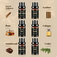 thumbnail image 2 of Aeshory Gentlemen's Fragrance Oils Set For Diffuser, Skin Care, Humidifier, Candle and Soap Making - 10ml*6 Pack, 2 of 6