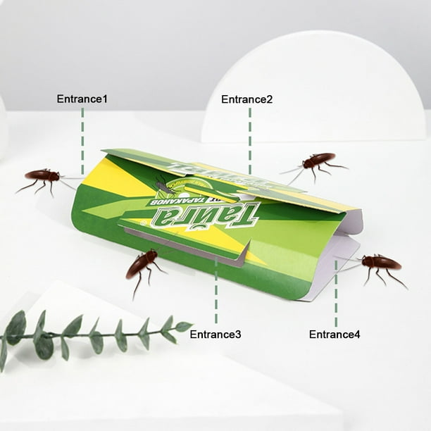 Cazador De Cucarachas Trampa para Cucarachas Mata Cucarachas No Tóxico Uso Interior y Exterior Verde 5pcs Ndcxsfigh Para estrenar