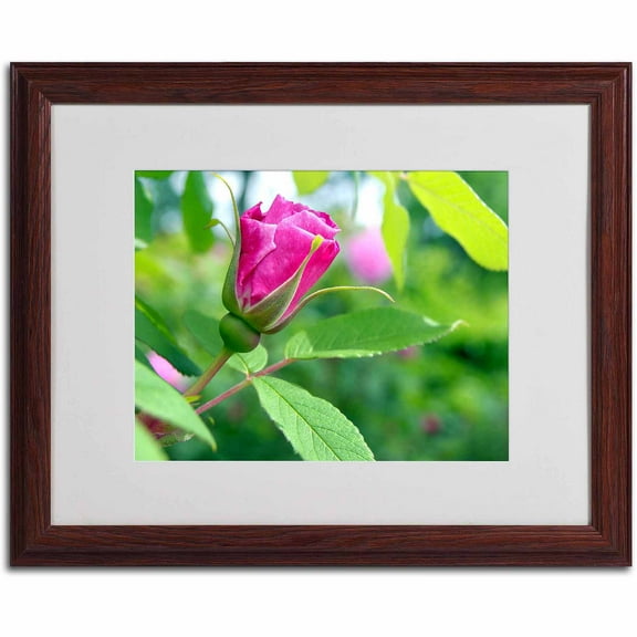Trademark Fine Art "Unfolding Transformation" Canvas Art by Monica Fleet, White Matte, Wood Frame