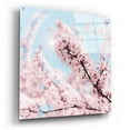 thumbnail image 2 of Epic Art 'Cherry Blossom Clouds' by Keri Bevan, Acrylic Glass Wall Art, 36"x36", 2 of 8