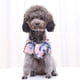 thumbnail image 5 of Camisa para perro con estampado de piña Gato y cachorro ajustable Adepaton CPB-US-YY290-3, 5 of 5