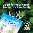thumbnail image 5 of RADIUS EcoClean Compostable Dental Floss Pick, Adult, Eco-Friendly Dental Care, Peppermint, 75 Count, 5 of 9