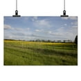 thumbnail image 2 of Print: Rural Alabama In The Spring, 2010, 2 of 4