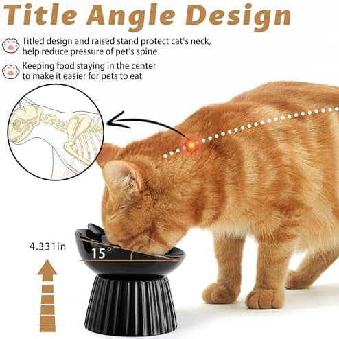 Ceramic Raised Cat Bowl，Tilted Raised Bowl Anti Vomit for Indoor Cats Whisker Friendly Pet Feeder for Cats Puppies, Microwave and Dishwasher Safe (Black)