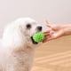 thumbnail image 5 of Squeaky dog toy balls, squeaky balls for dogs, dog chew toys for small puppies, 5 of 5