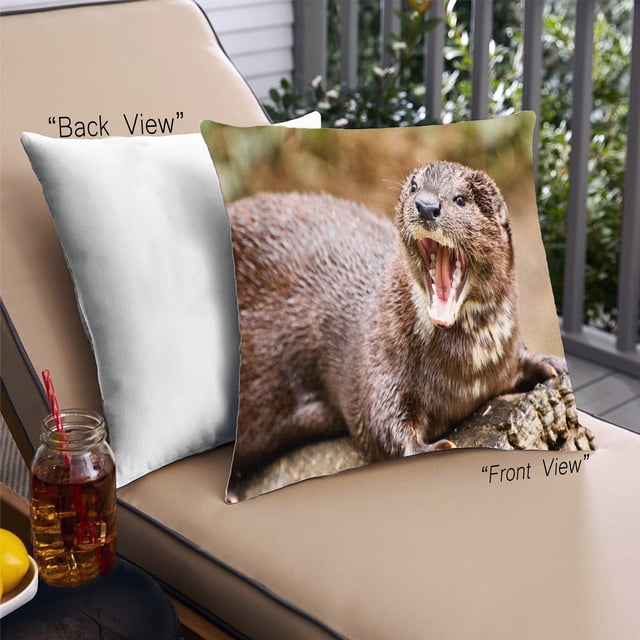 Ahgly Company Animals Otter Coussin Extérieur, 18 Pouces par 18 Pouces