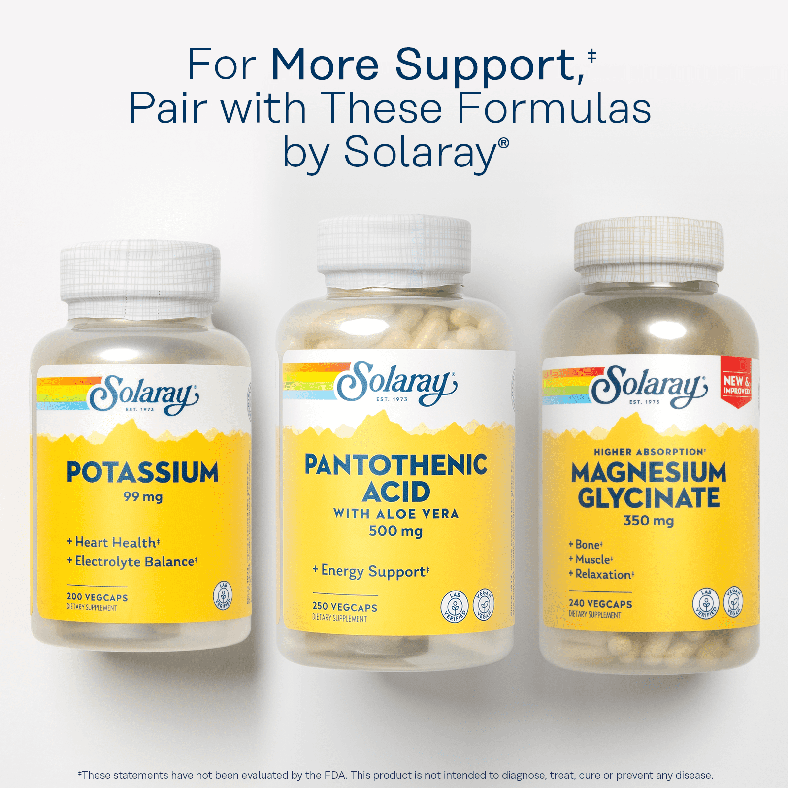 Solaray Pantothenic Acid 500mg | Vitamin B-5 for Coenzyme-A Production & Energy Metabolism | For Hair, Skin, Nails & Digestive Support | 250 VegCaps
