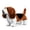 Basset Hound, variant on PuffPurrs German Shepherd Plush Toy, Lifelike Seated Dog Stuffed Animal Companion, Handmade Display Piece, 11 in / 28 cm, Thoughtful Gift for Pet Lovers
