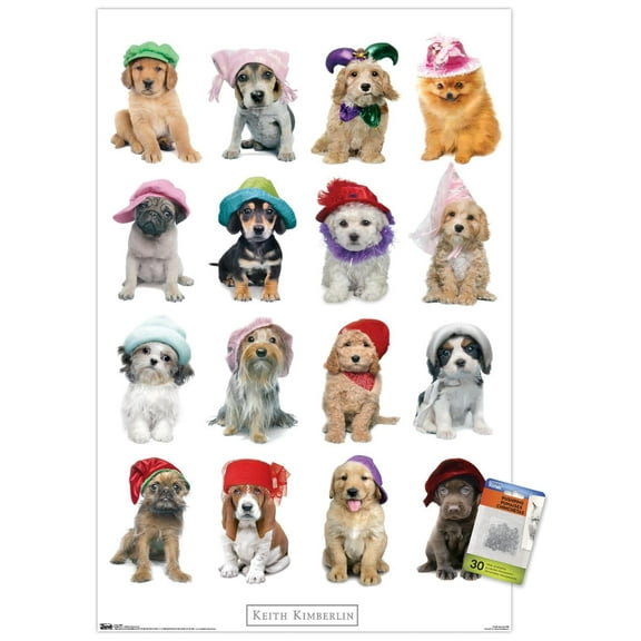 Keith Kimberlin - Puppies With Hats Wall Poster with Push Pins, 22.375" x 34"