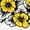 WHITE, variant on - Floral Harvester - Women's Short Sleeve Graphic T-Shirt