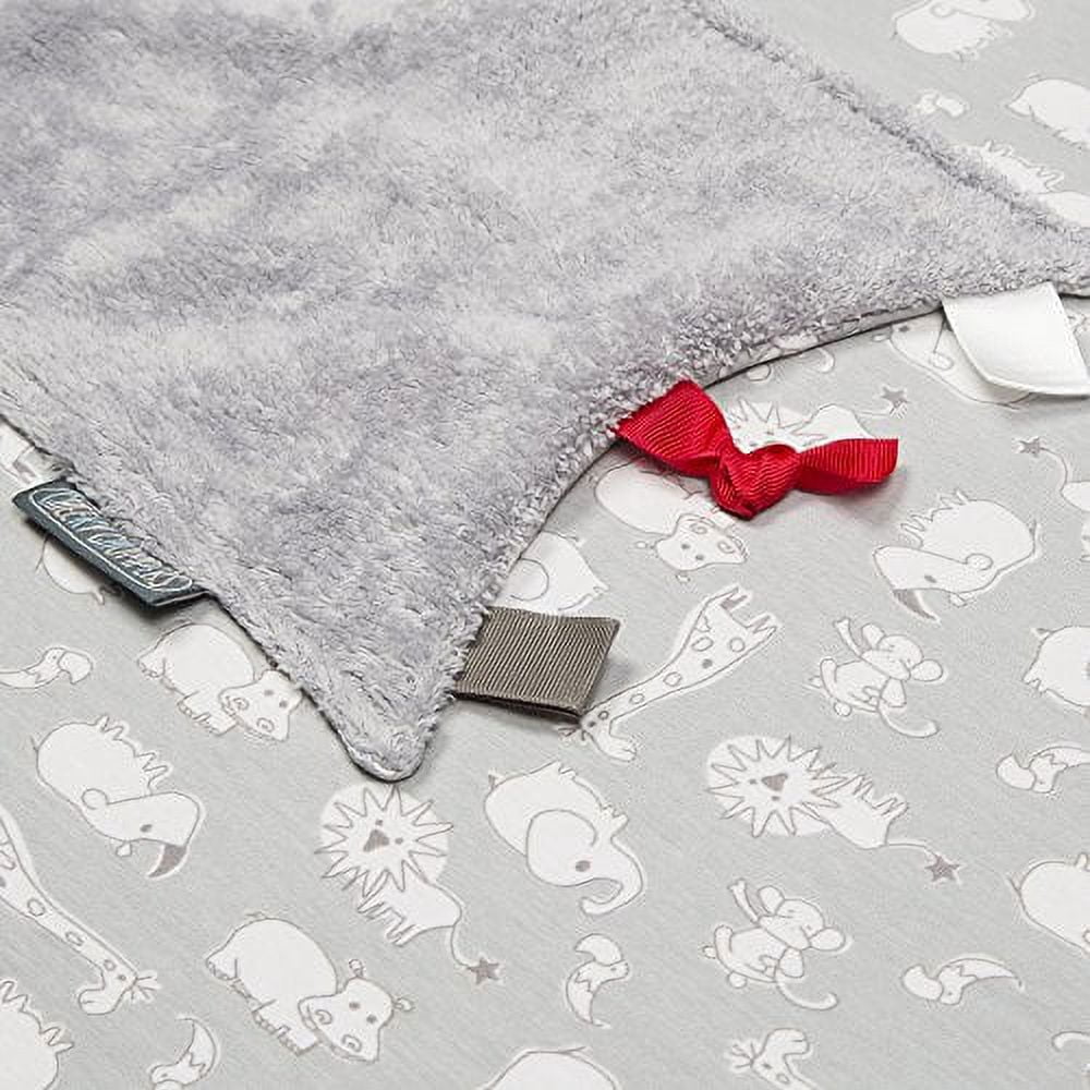 Cheeky Chompers Cheeky Blanket in Chewy & Co.